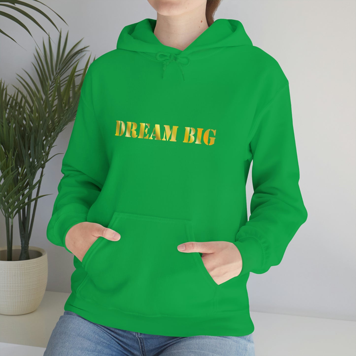 Dream Big Hooded Sweatshirt