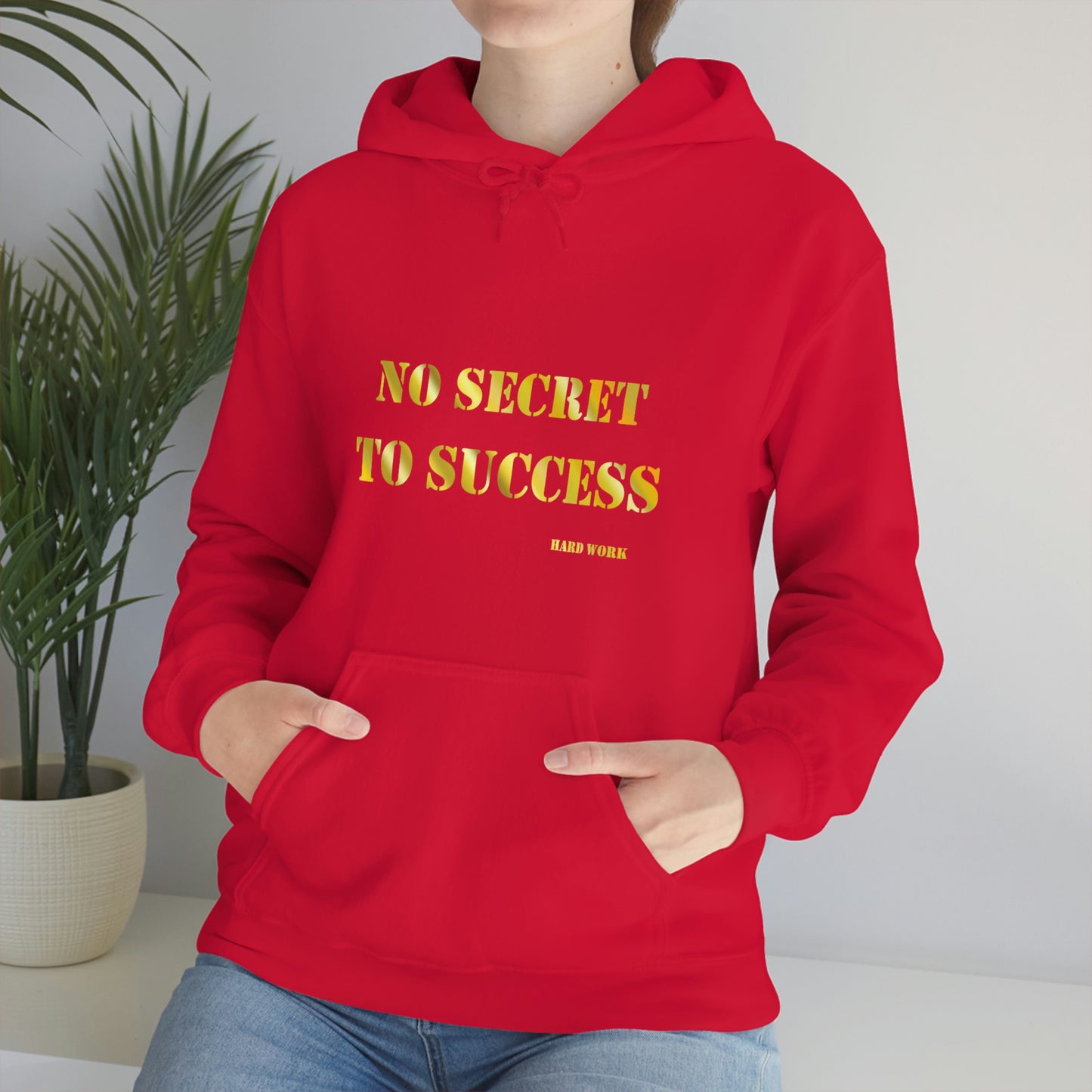 No secret hooded Sweatshirt