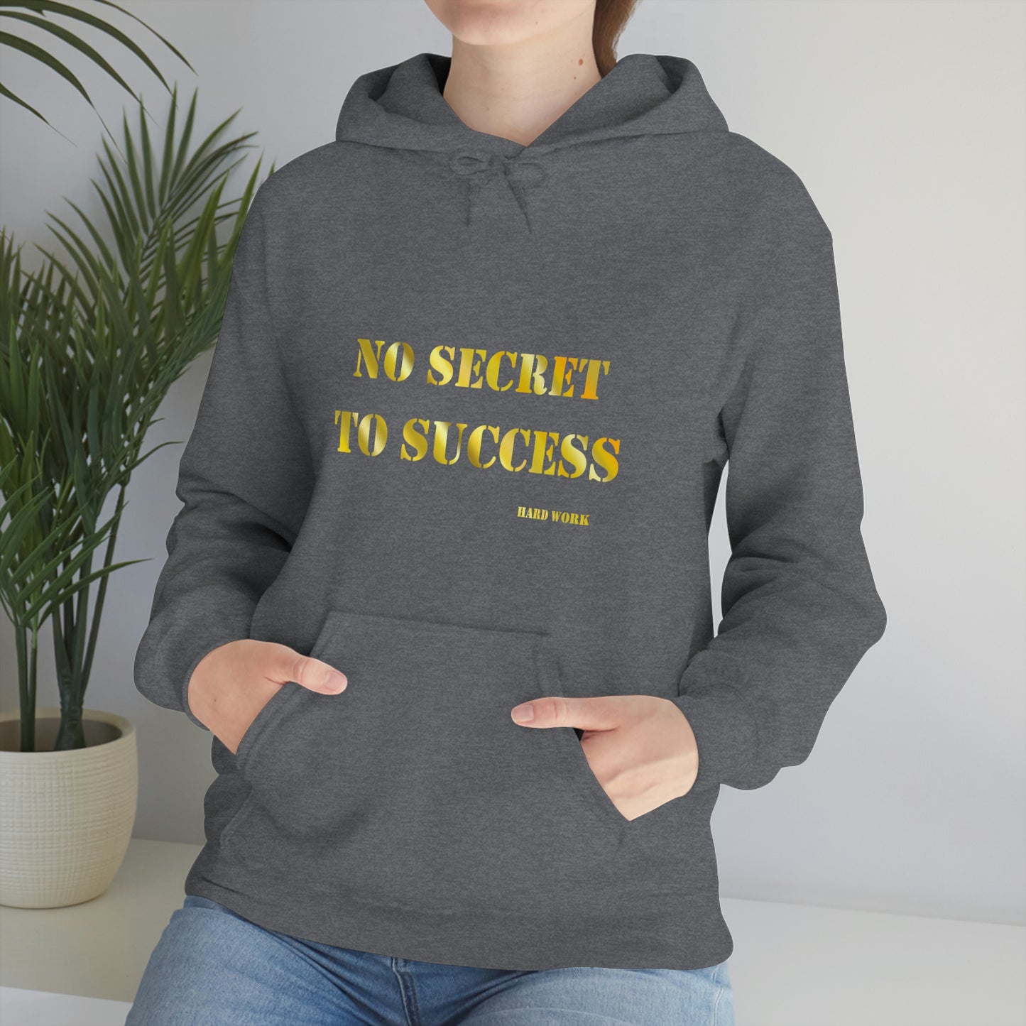 No secret hooded Sweatshirt