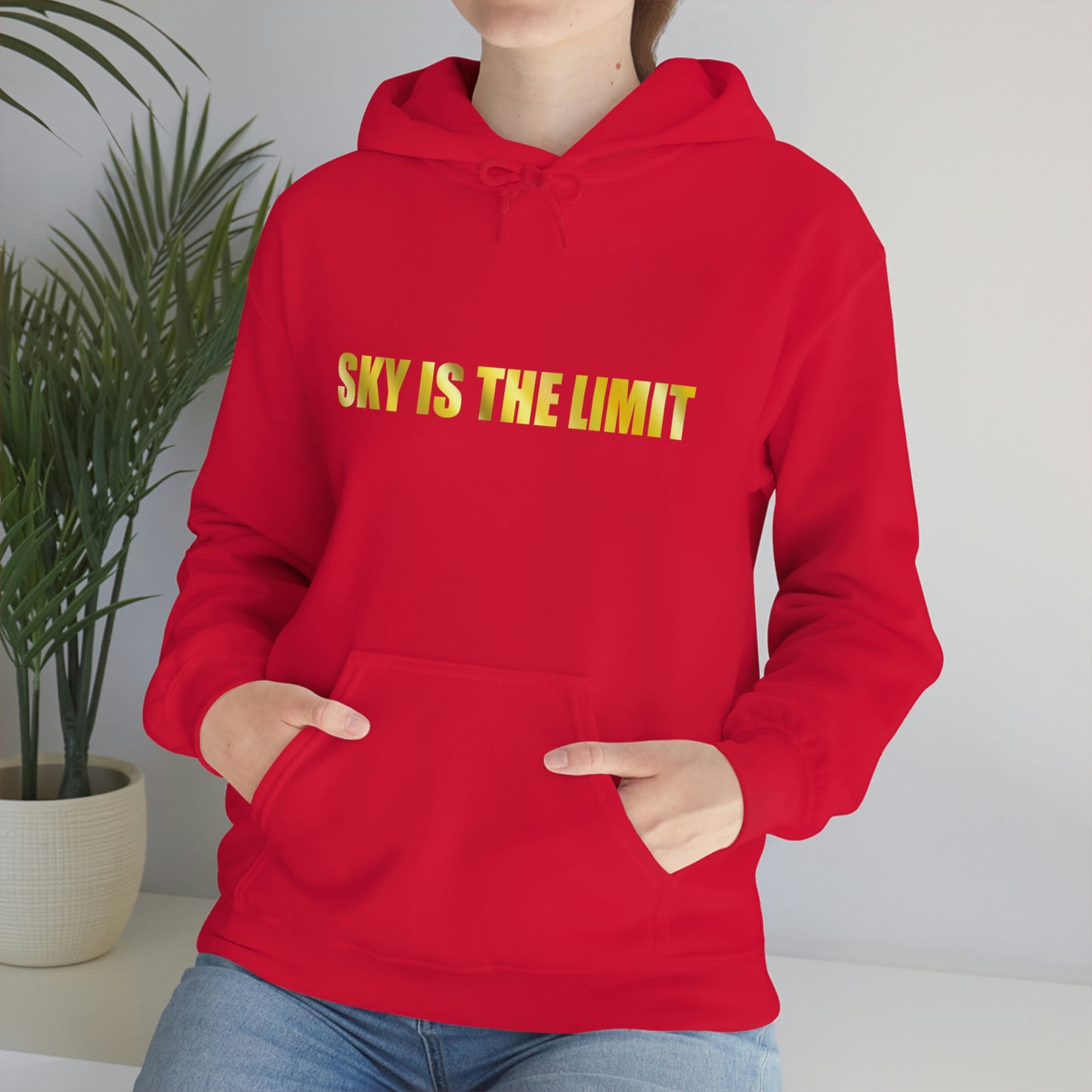 Sky is the limit Hooded Sweatshirt