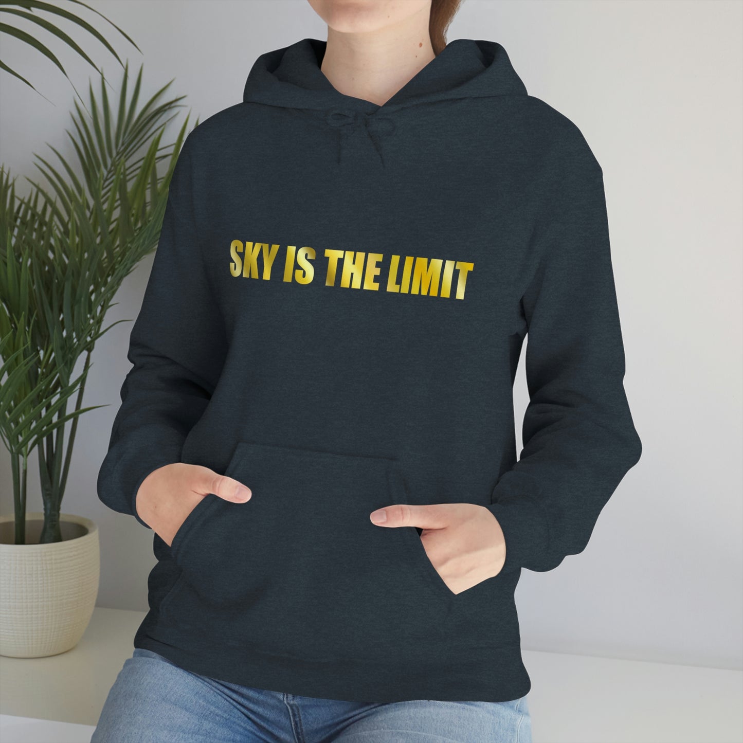 Sky is the limit Hooded Sweatshirt