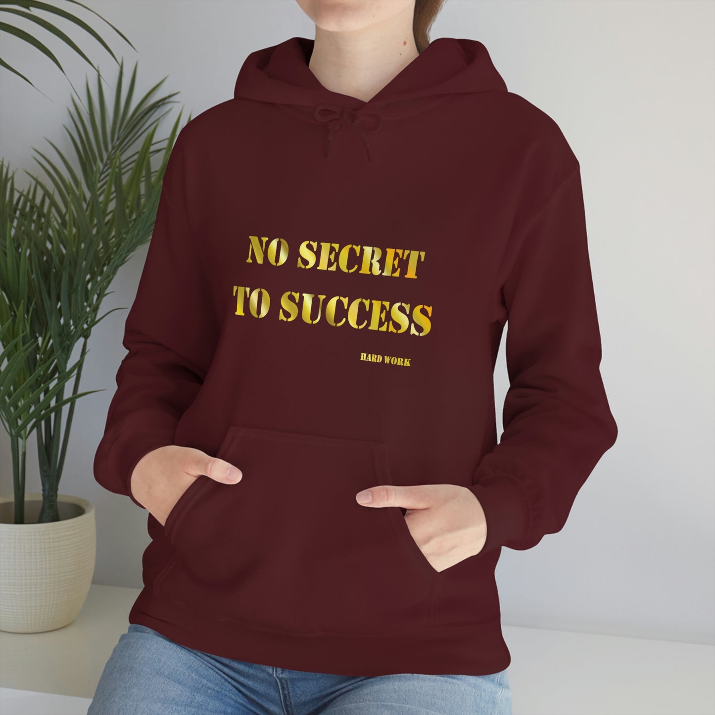 No secret hooded Sweatshirt