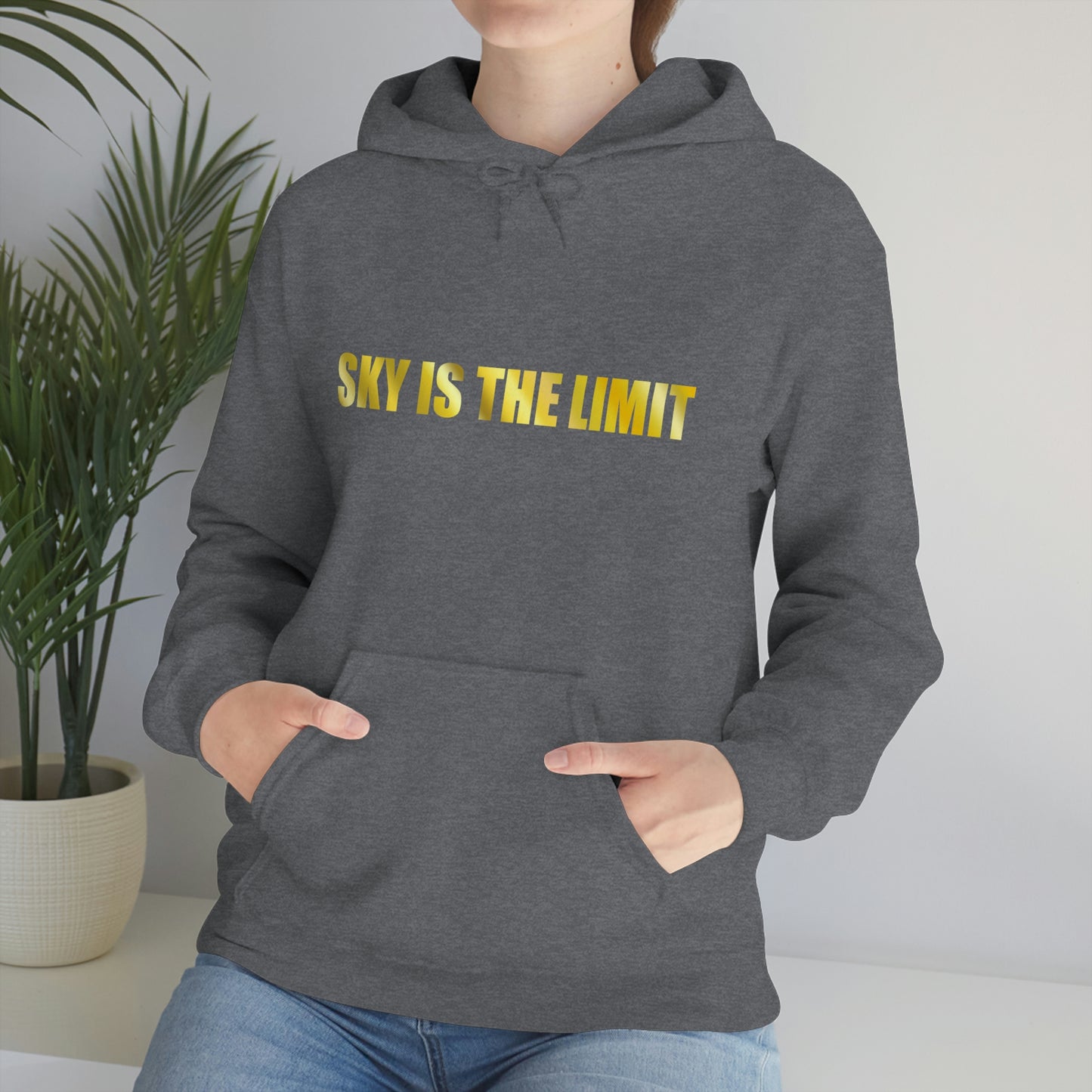 Sky is the limit Hooded Sweatshirt